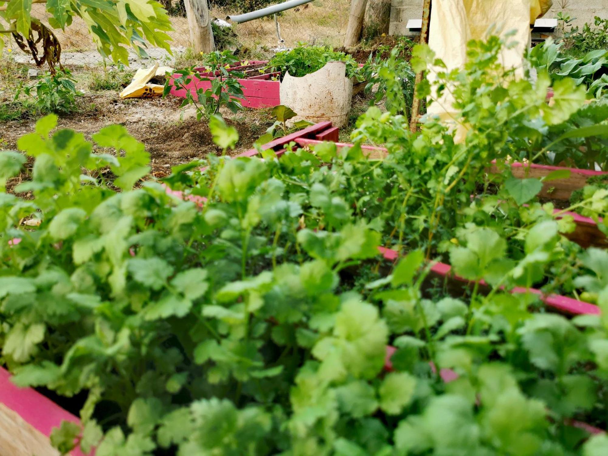 Panoramic Paradise La Ferme Ngoại thất bức ảnh